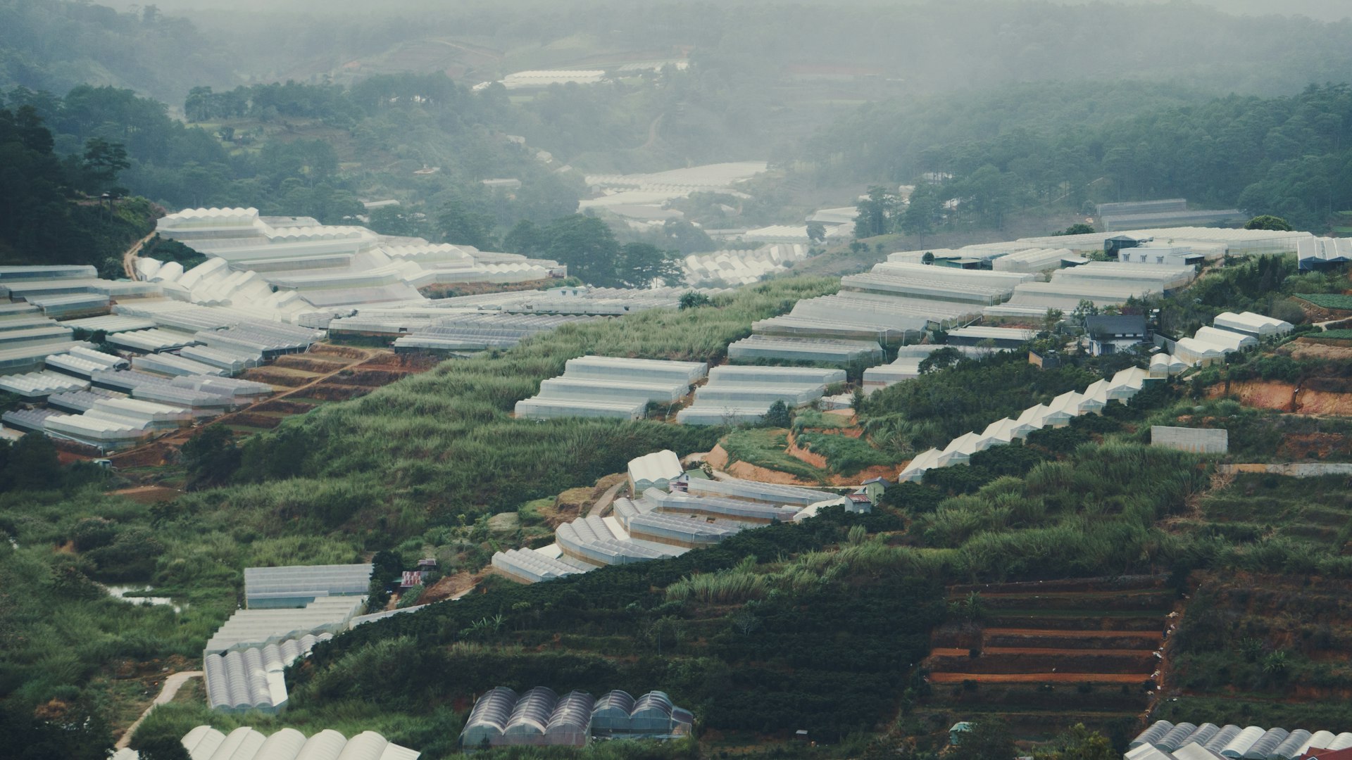 accounting for industries, sector-specific accounting, financial services by industry, NGO accounting Nepal, manufacturing tax compliance, donor audit support, startup financial planning